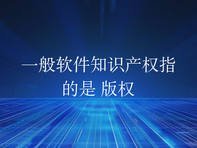 一般软件知识产权指的是 版权