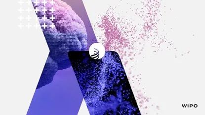 WIPO中国:《2024年世界知识产权报告》发布会(5月2日)