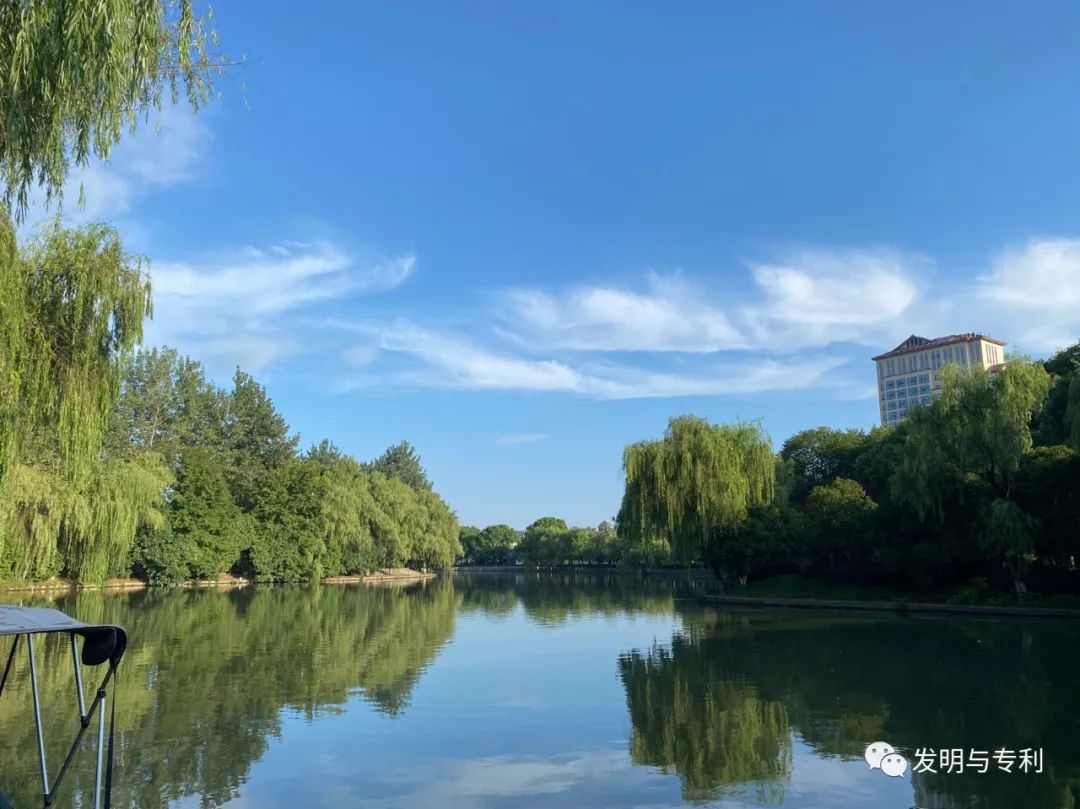 要想专利不被非正常，2024年不妨这么干，深度剖析