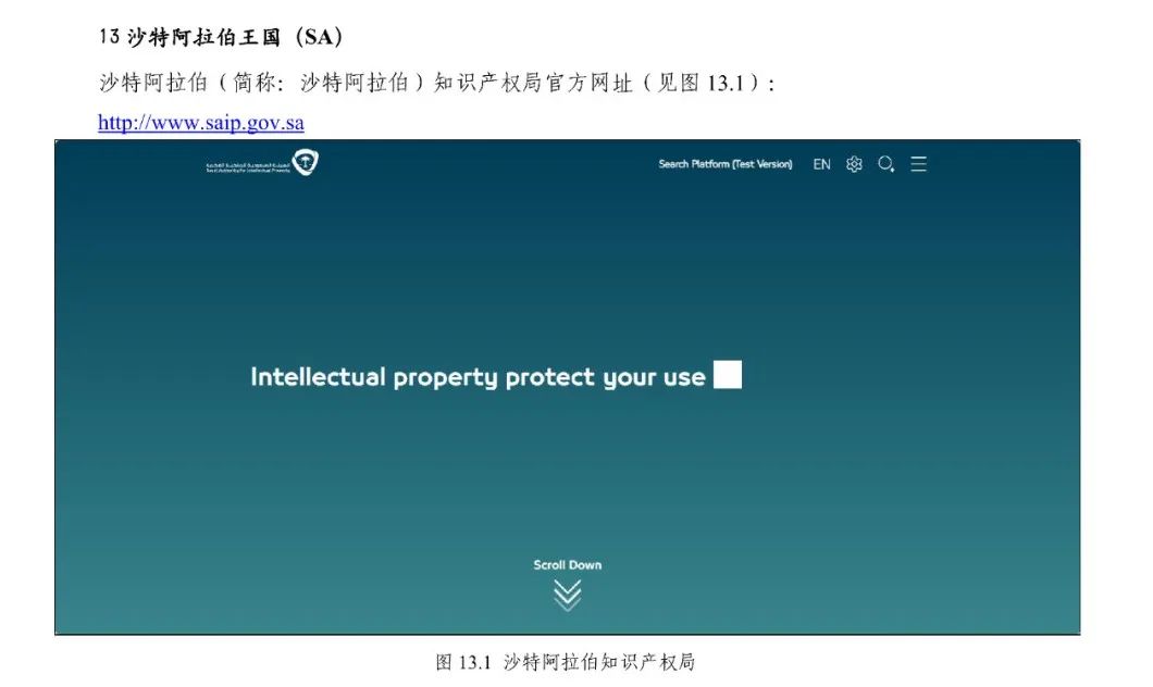 《专利文献号码检索指南2025版》发布