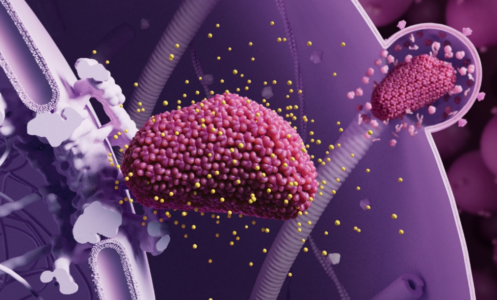 2024年中国/世界十大科技进展