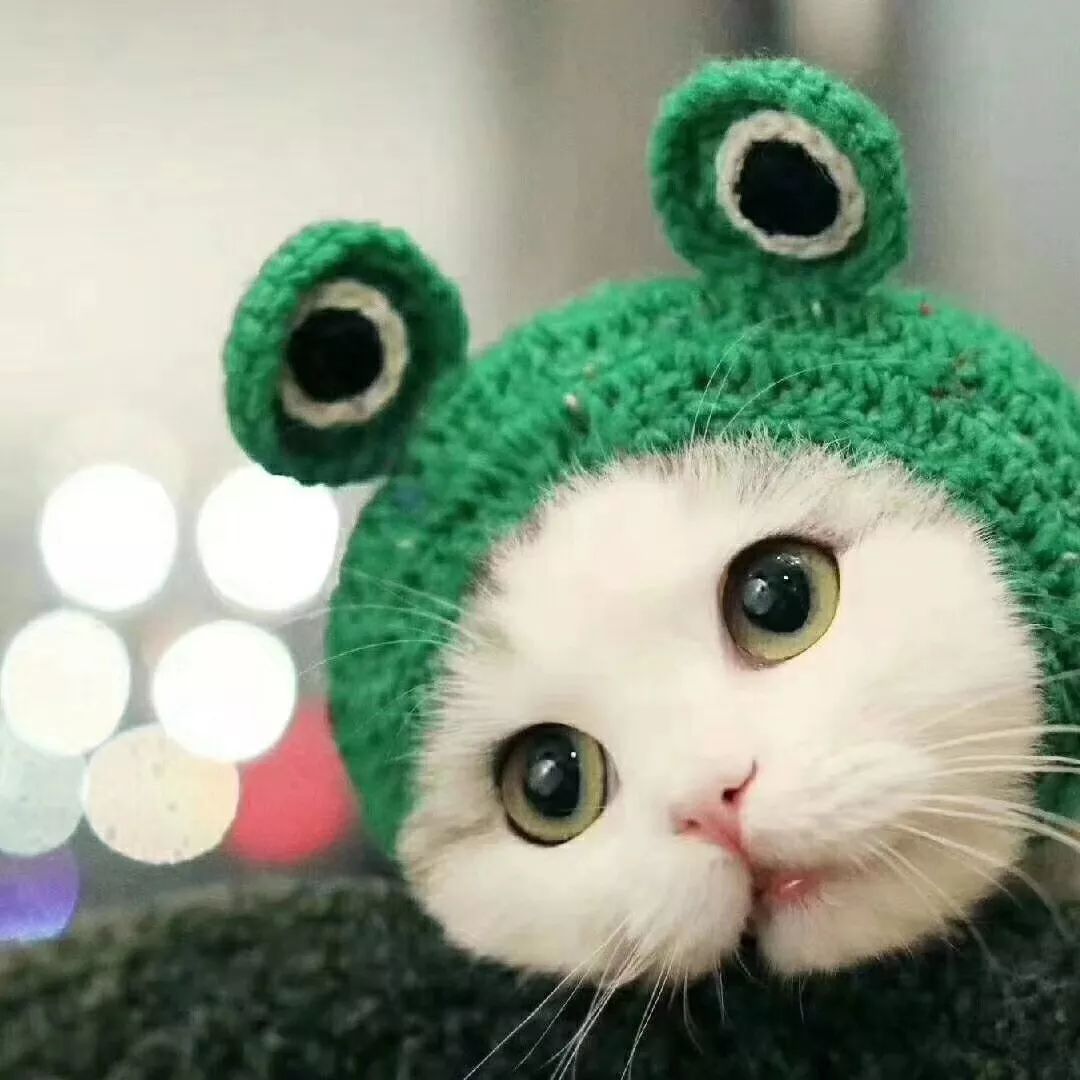 专利申请与投资的 成本和费用 探析