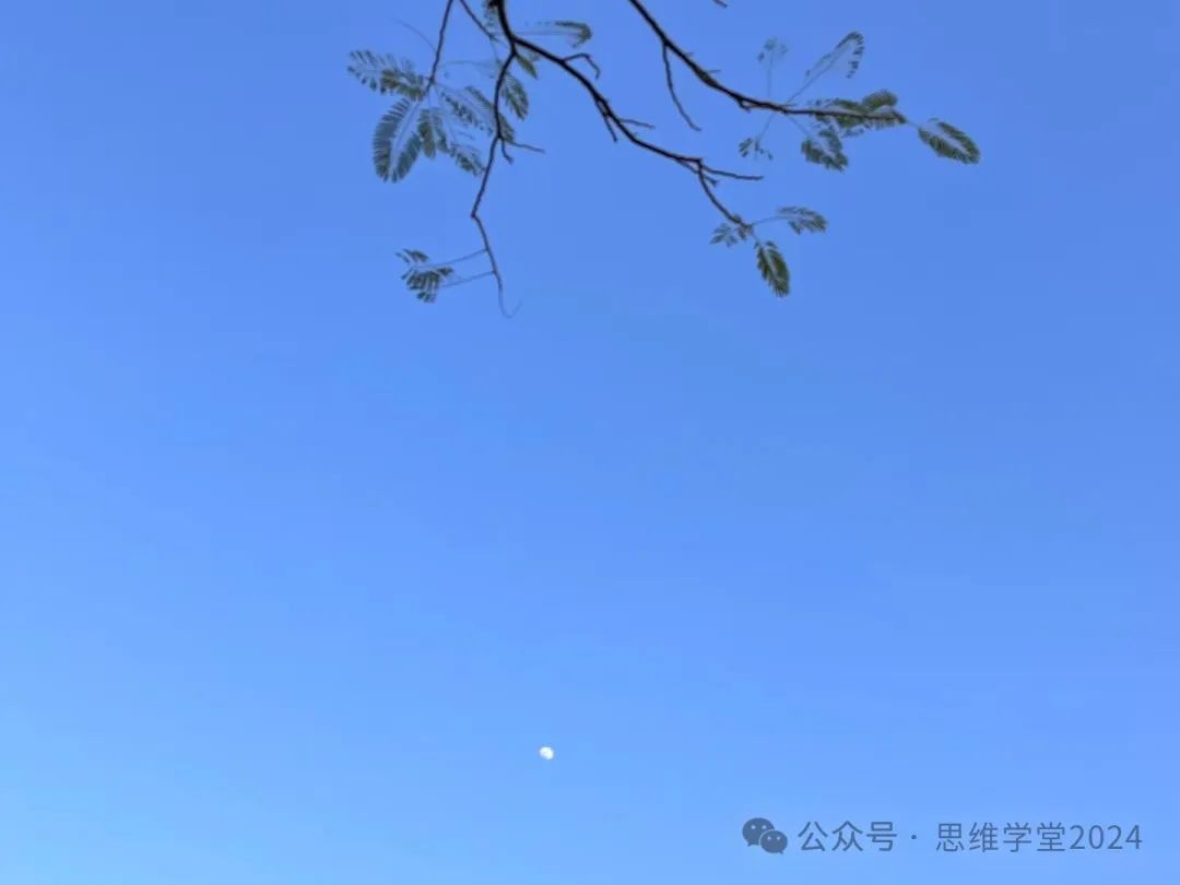 截流和节流,知识变现,你喜欢哪个