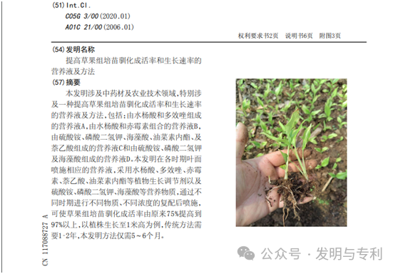 2023年发明专利授权率、驳回率和撤回率较高的50个IPC分类及部分案例分析