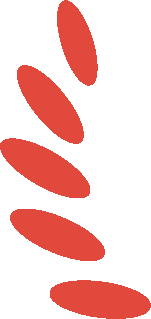 融资超100亿！中国科技成果转化行业2024年度十大融资事件