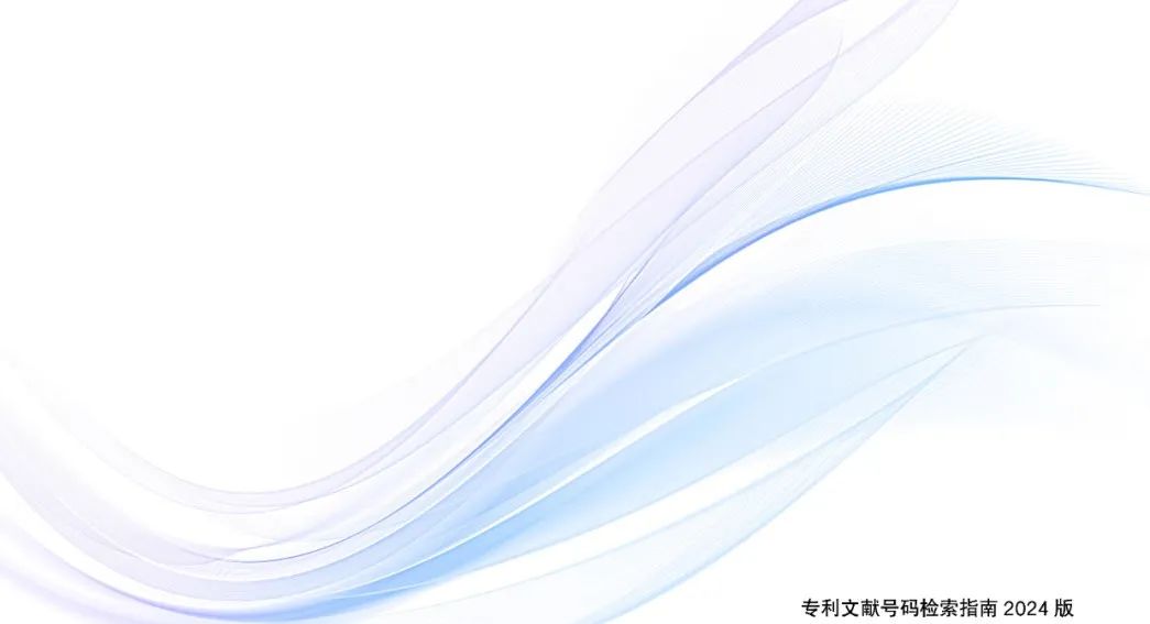 《专利文献号码检索指南2025版》发布