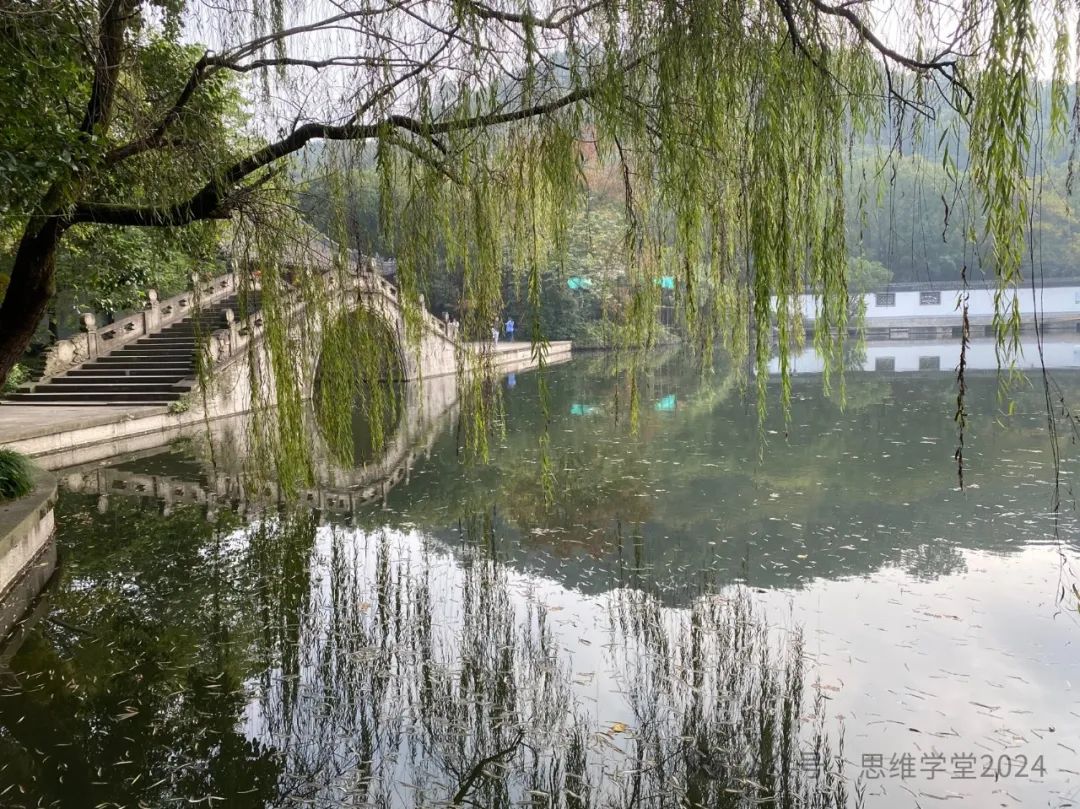 努力工作还不赚钱?让DeepSeek告诉你,知识产权服务如何才叫真正的努力,想不赚钱都难