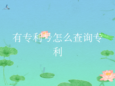 有专利号怎么查询专利