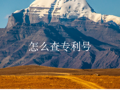 怎么查专利号
