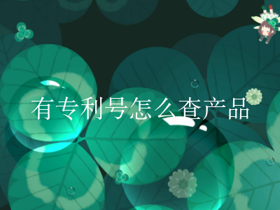 有专利号怎么查产品