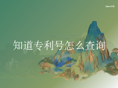知道专利号怎么查询