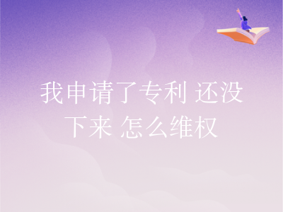我申请了专利 还没下来 怎么维权