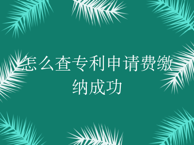 怎么查专利申请费缴纳成功