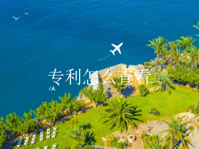 专利怎么查看