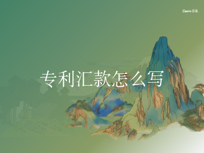 专利汇款怎么写