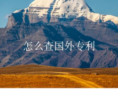 怎么查国外专利