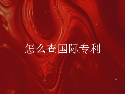 怎么查国际专利