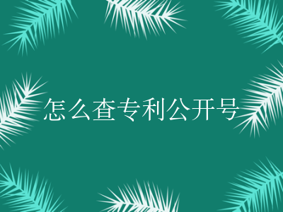 怎么查专利公开号