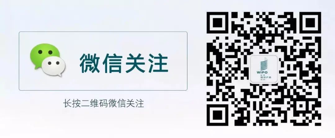 WIPO中国:激发未来知识产权人才,共筑青年国际胜任力