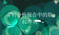 专利分析报告中的版权声明