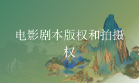 电影剧本版权和拍摄权