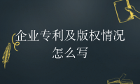 企业专利及版权情况怎么写