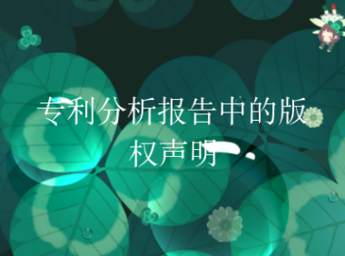 专利分析报告中的版权声明