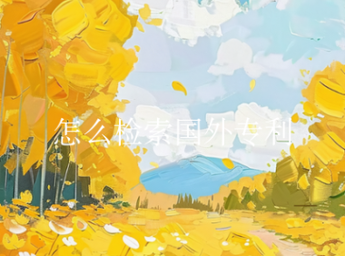 怎么检索国外专利