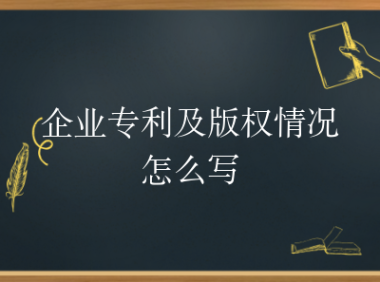 企业专利及版权情况怎么写